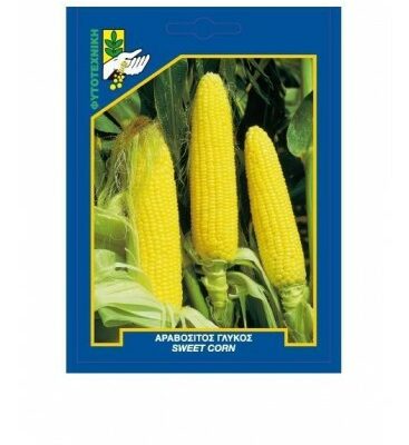 Αραβόσιτος Γλυκός