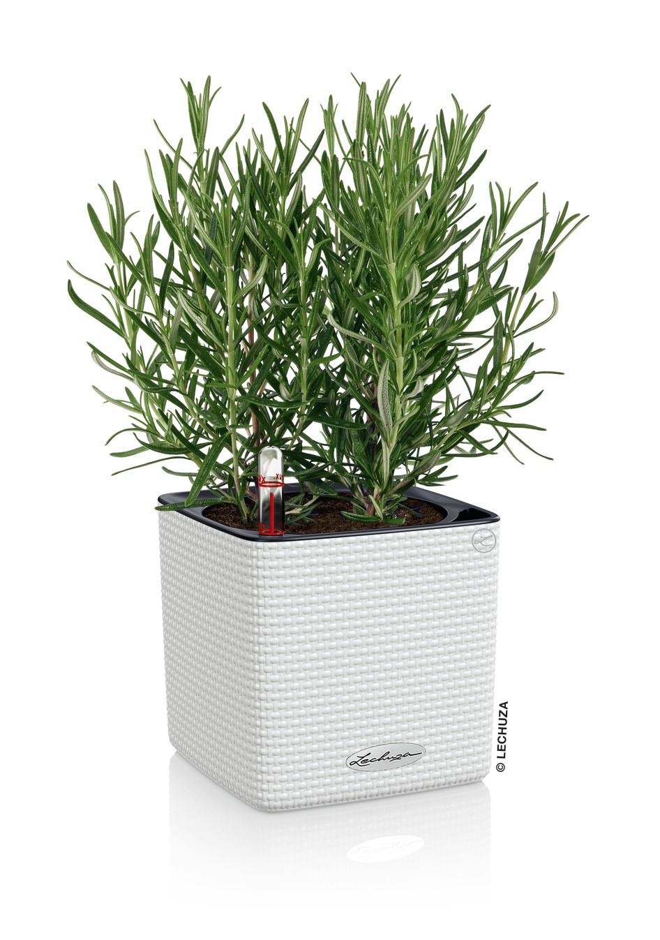 Cube Color 16 sand brown - Image 4