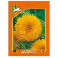 Ηλίανθος διπλός