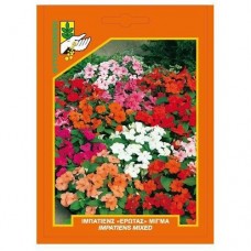 Ιμπάτιενς "Έρωτας" μίγμα