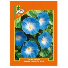 Ιπομέα μπλε