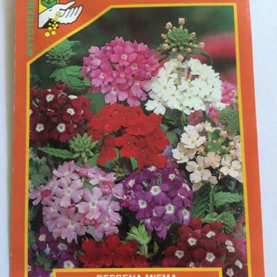 Βερβένα μίγμα