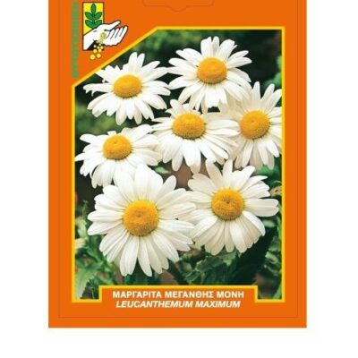 Μαργαρίτα μεγανθής μονή