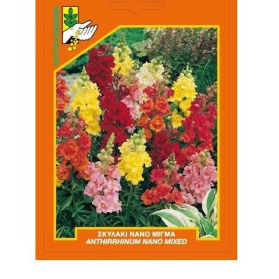 Σκυλάκι νάνο μίγμα