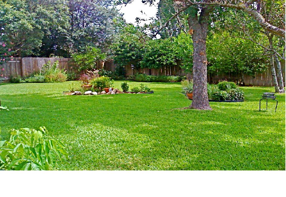 Ουγκάντα (Bermuda grass)