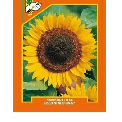 Ηλίανθος γίγας