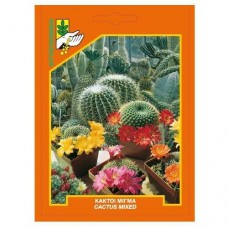 Κάκτοι μίγμα