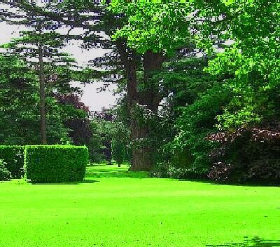 Μίγμα γκαζόν για αθλοπαιδιές (2004 SUPER)