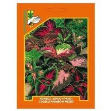 Κολεός "Ωραίο φύλλο"