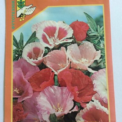 Γοδέτια διπλή