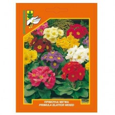 Πρίμουλα μίγμα