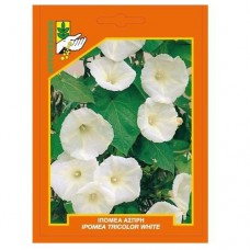 Ιπομέα άσπρη