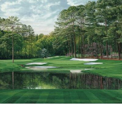 Μίγμα γκαζόν σκιάς (SHADOW)