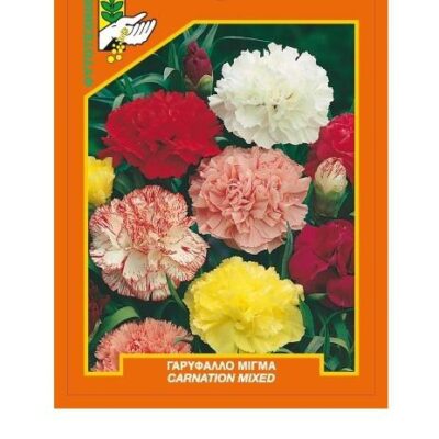 Γαρύφαλλο μίγμα