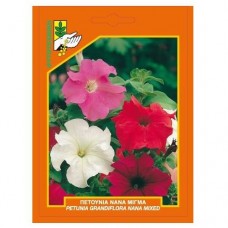 Πετούνια νάνα μίγμα