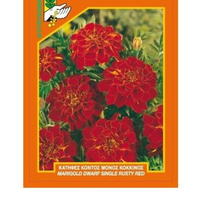 Κατηφές κοντός μονός κόκκινος