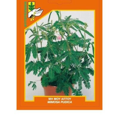 Μη μου άπτου