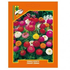 Ζίννια κοντή