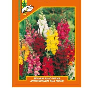 Σκυλάκι ψηλό μίγμα