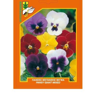 Πανσές μεγανθής μίγμα