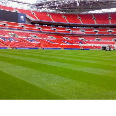 Μίγμα γκαζόν αντοχής (WEMBLEY)