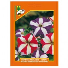 Πετούνια μεγανθής "Αστέρι"