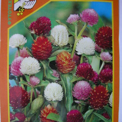 Γομφρένα μίγμα