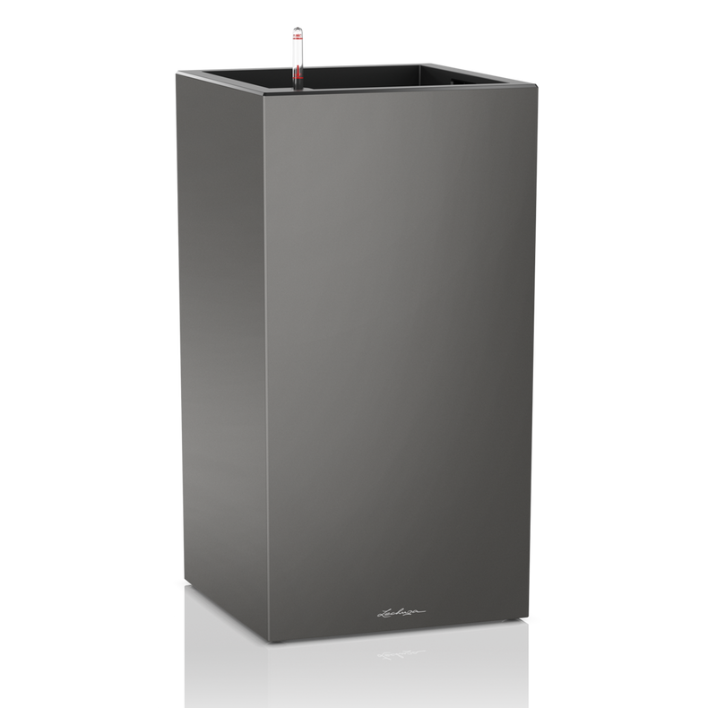 Canto Premium 40 high - Image 2