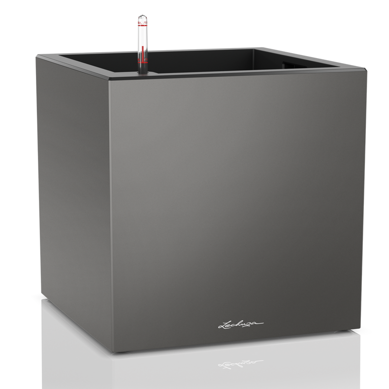 Canto Premium 40 low - Image 3