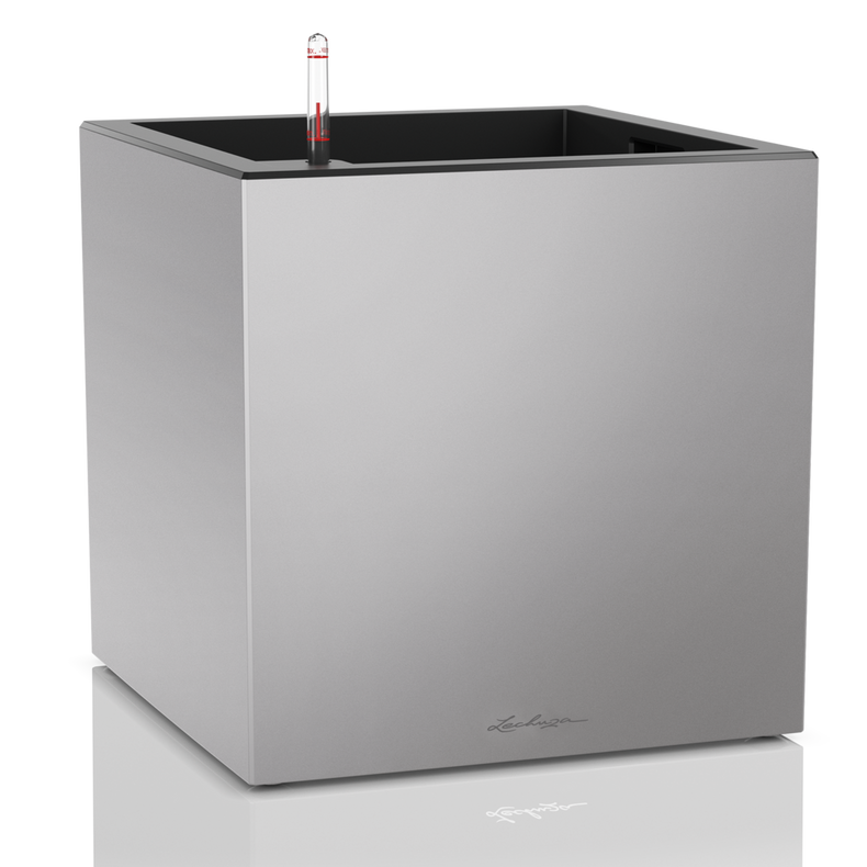 Canto Premium 40 low - Image 4