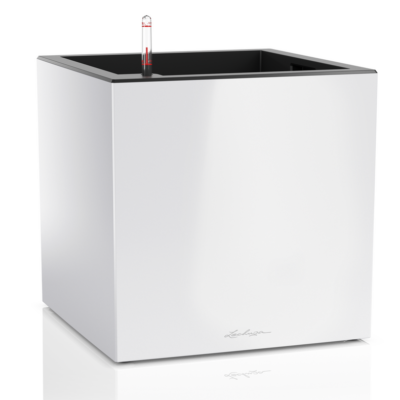 Canto Premium 40 low