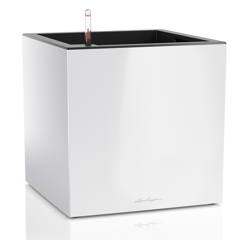 Canto Premium 40 low