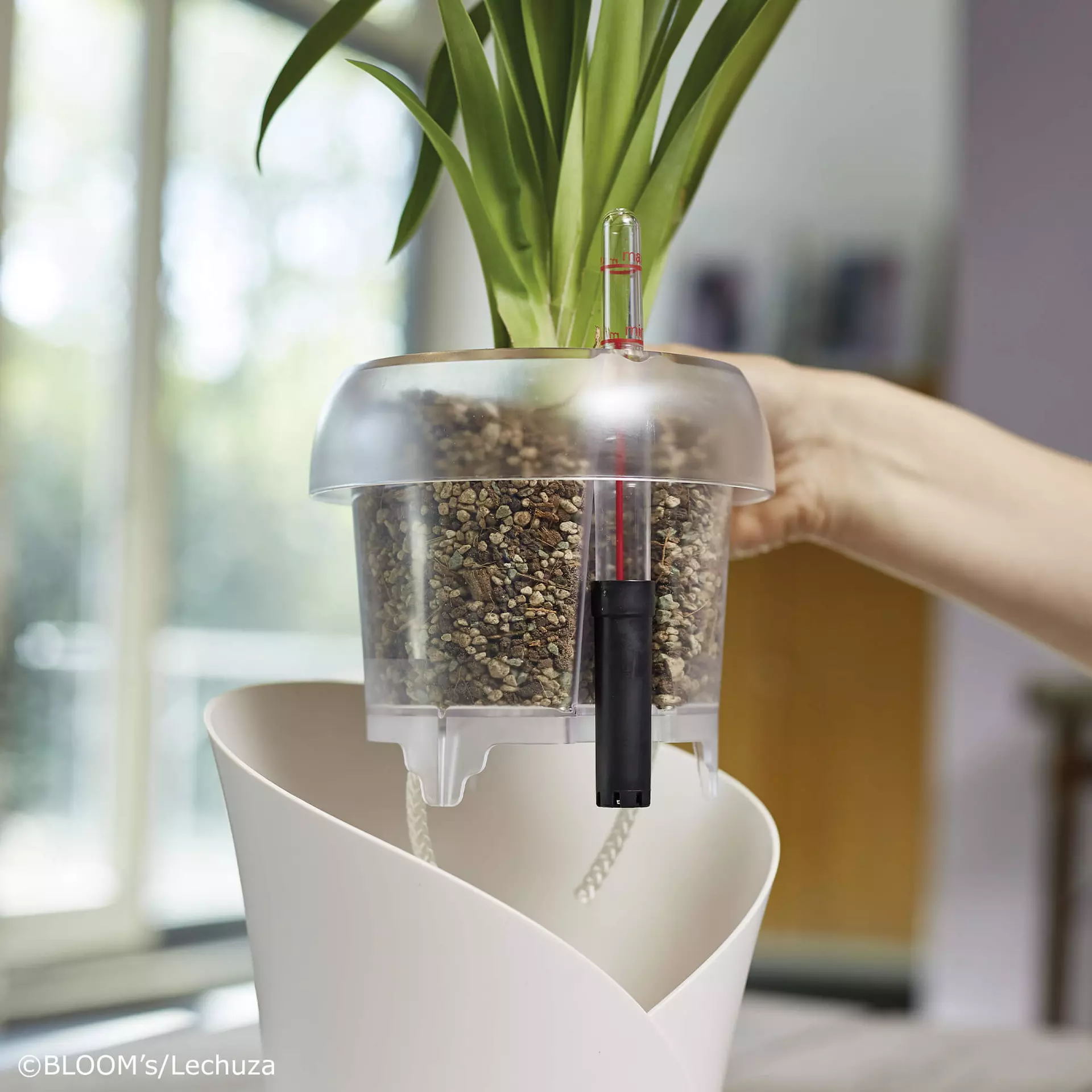 Υπόστρωμα Lechuza Orchidpon 6lt - Image 3