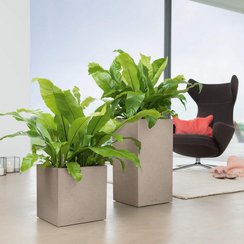 CANTO Stone 30 High Gray - Image 5