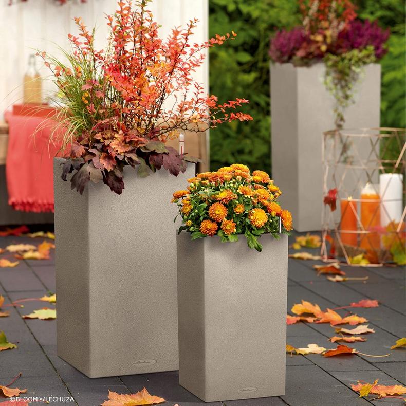 CANTO Stone 30 High Gray - Image 6