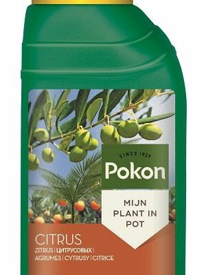 Pokon υγρό λίπασμα για εσπεριδοειδή και ελιές