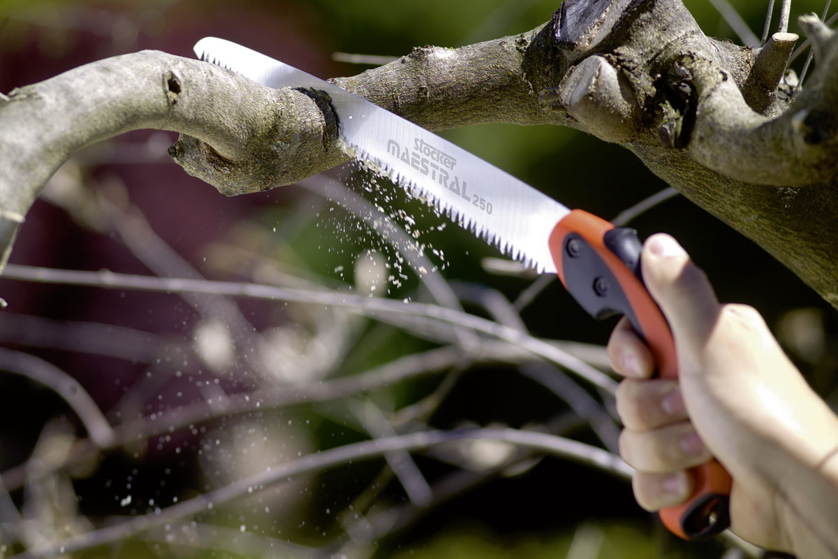 Πριόνι κλαδέματος Stocker Maestral 250 - Image 2