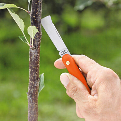 Μαχαίρι εμβολιασμού με ανυψωτήρα φλοιού Stocker 785