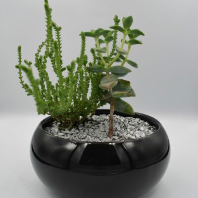 Σύνθεση σε μαύρο κασπώ