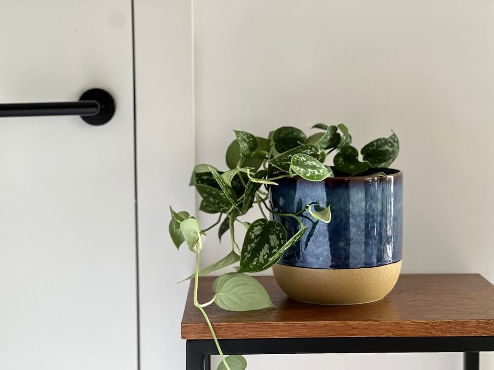 Κεραμικό κασπώ μπλε Vintage 31.142.17 - Image 5