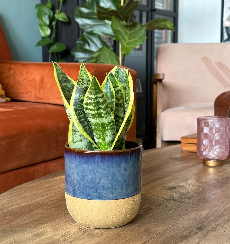 Κεραμικό κασπώ μπλε Vintage 31.142.17 - Image 3