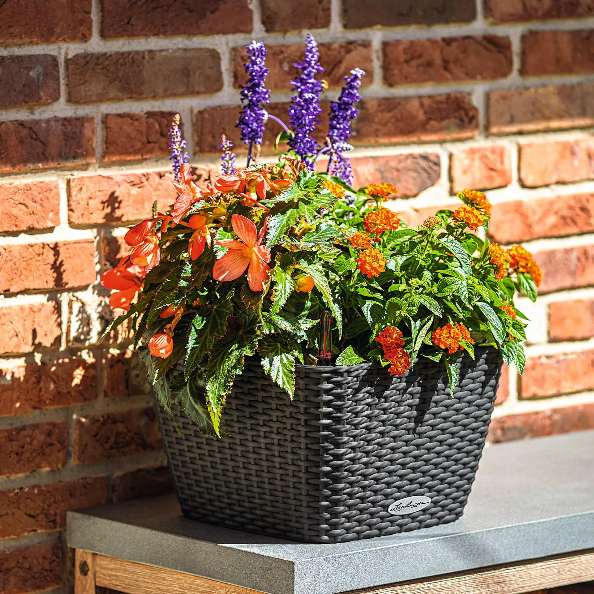 Lechuza Cottage Bacino 30 Granite - Image 6