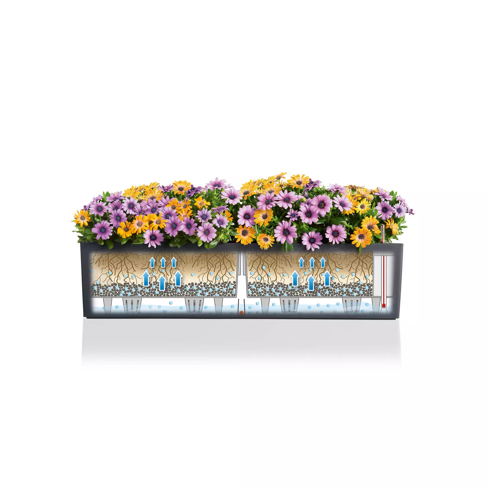 Lechuza Balconera Color 80 Sand Brown - Image 3