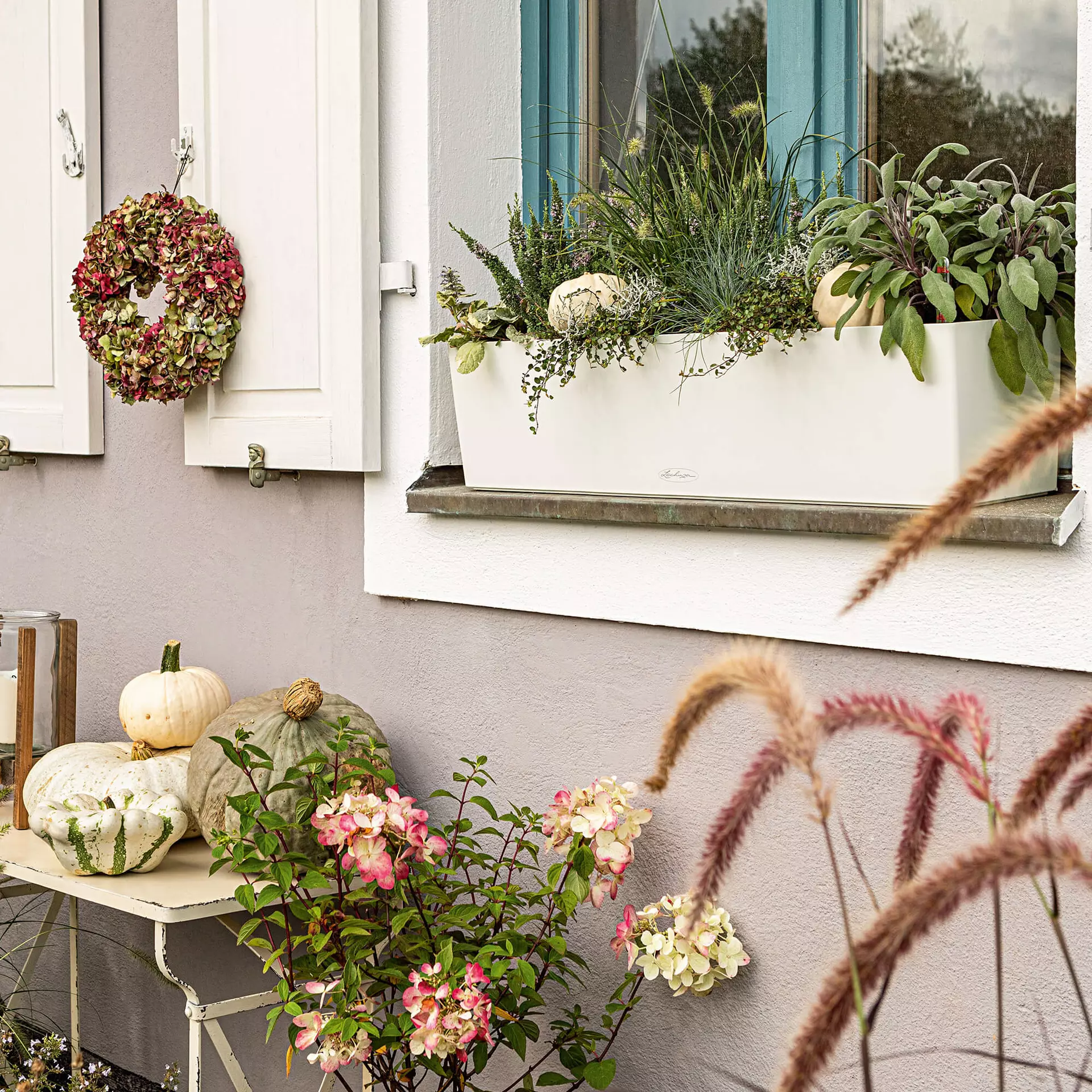 Lechuza Balconera Color 80 Sand Brown - Image 7