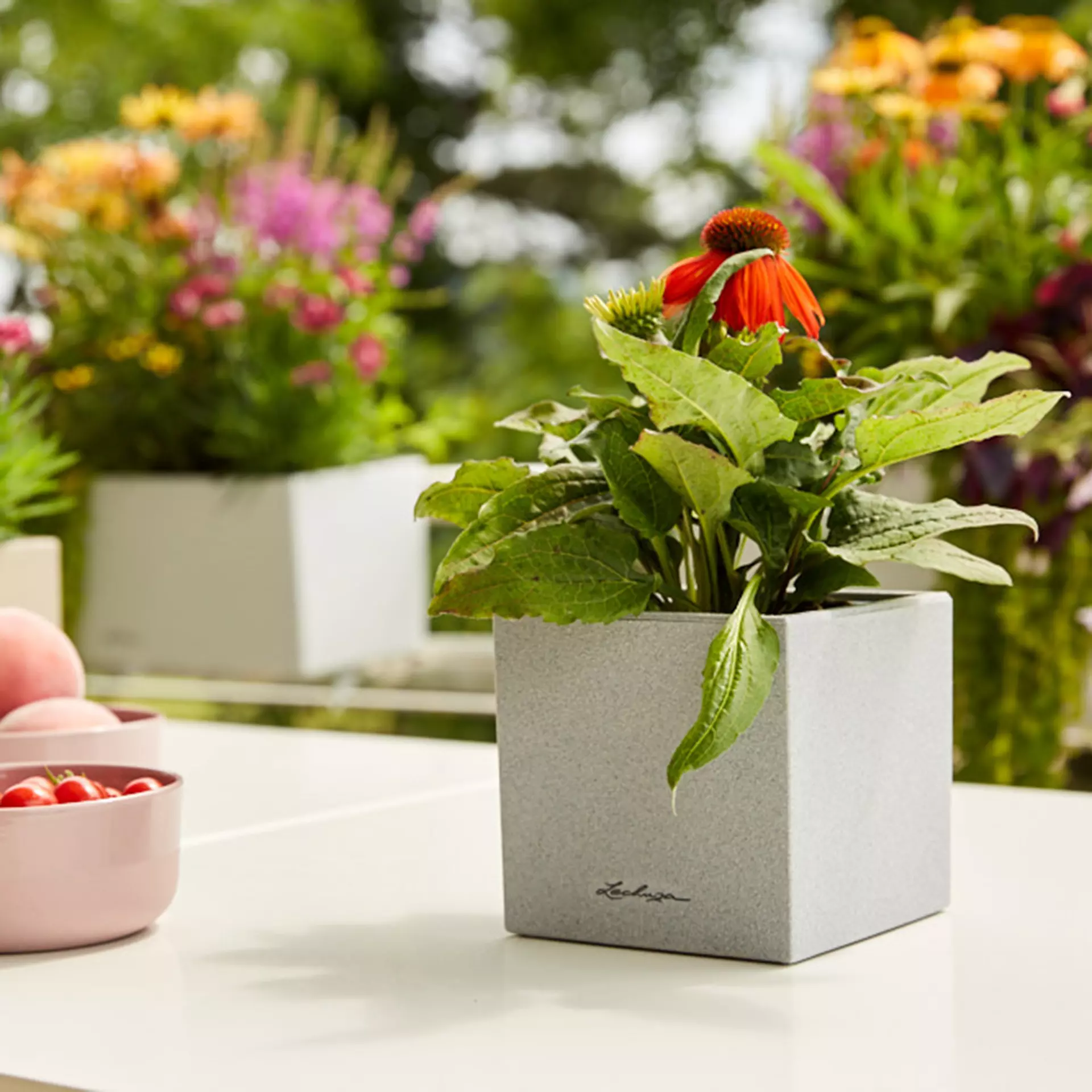 Lechuza Canto Stone 14 Quarz White - Image 5