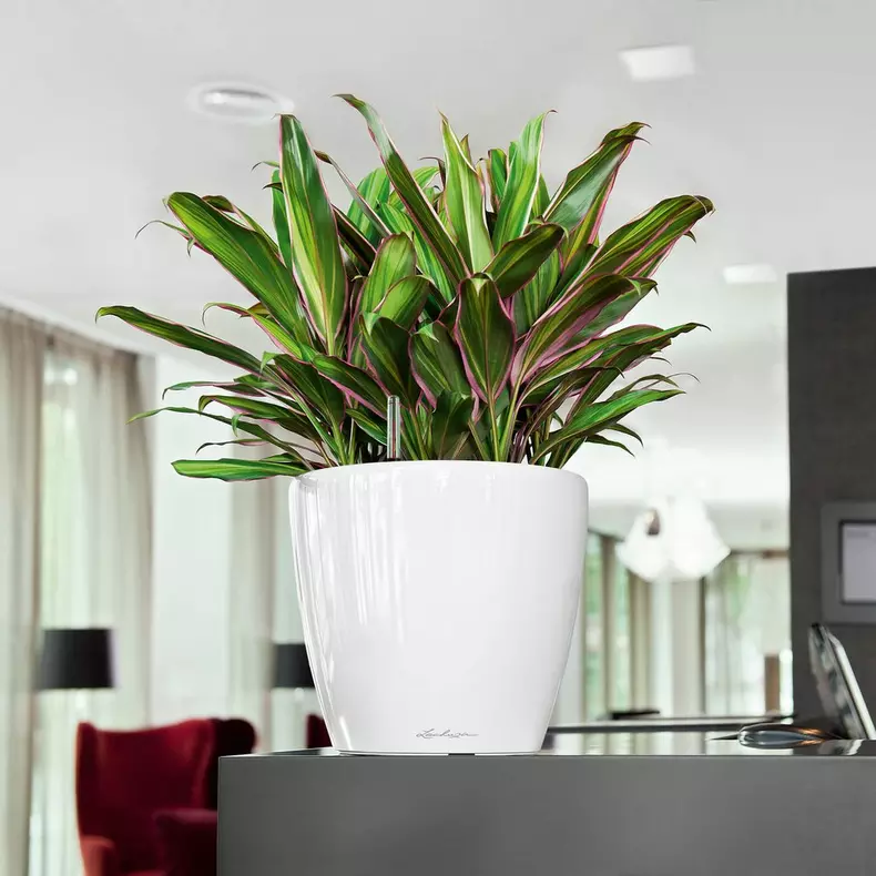 Lechuza Classico Premium LS 28 black high-gloss - Image 5