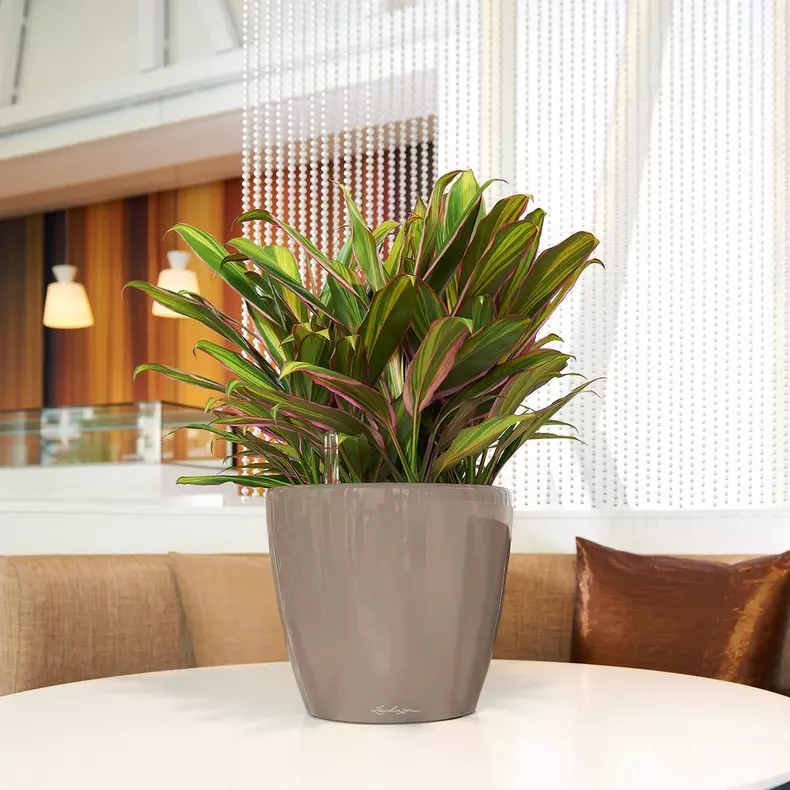 Lechuza Classico Premium LS 28 black high-gloss - Image 4