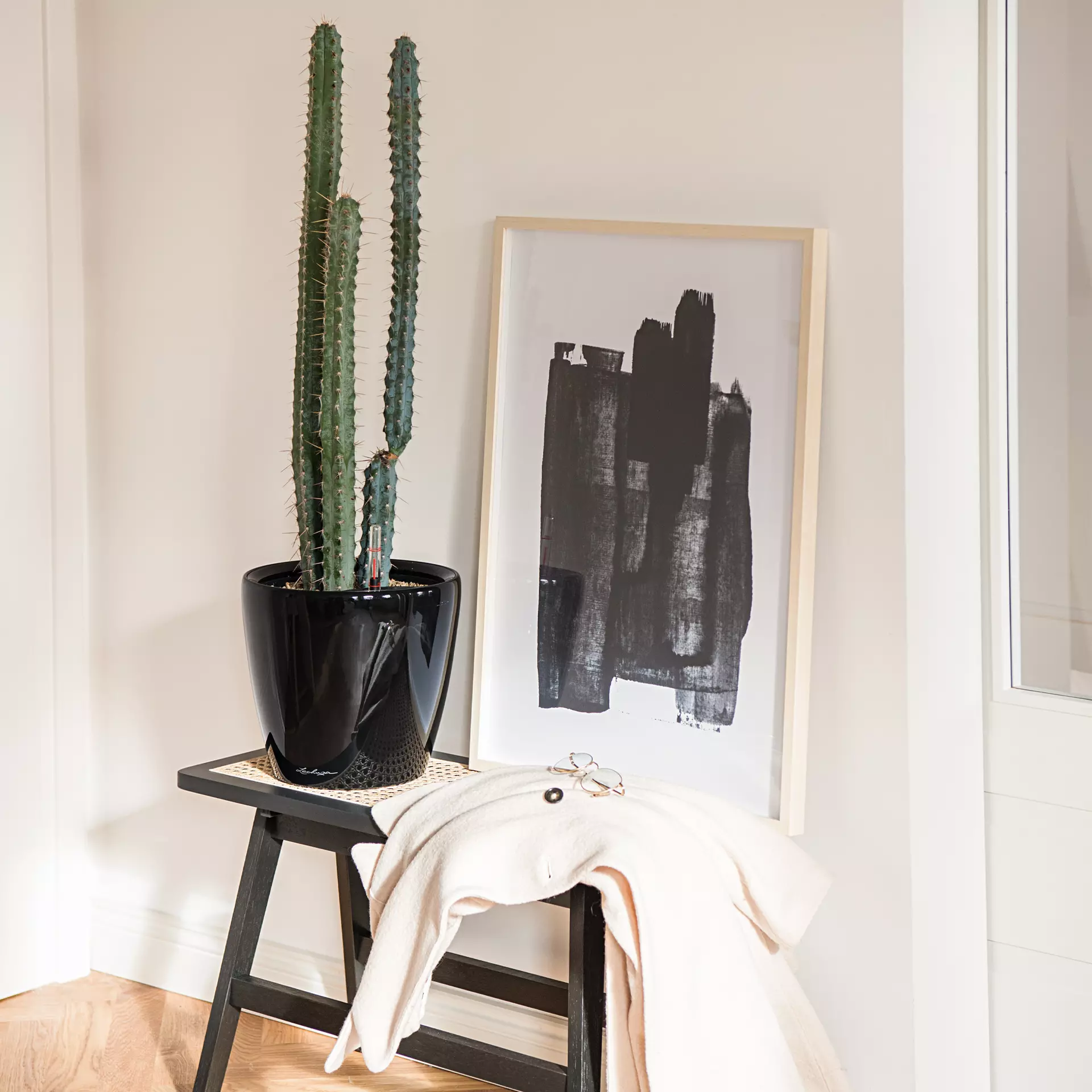 Lechuza Classico LS 35 Scarlet Red High-Gloss - Image 4