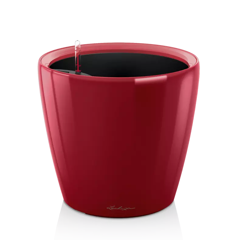 Lechuza Classico LS 35 Scarlet Red High-Gloss