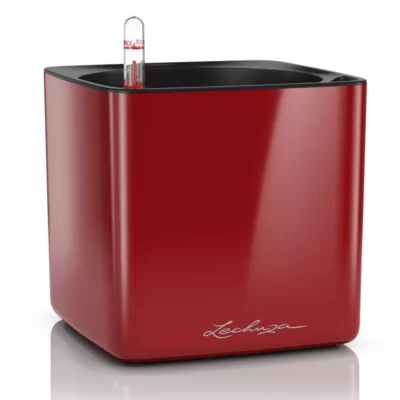Lechuza Cube Glossy 16 Scarlet Red High-Gloss